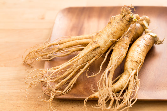 Kırmızı Ginseng: Doğanın Şifalı Hazinesi